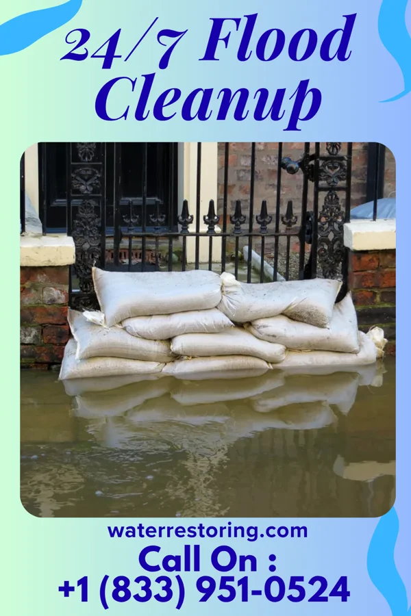 24/7 Flood Cleanup in Cave-In-Rock, IL