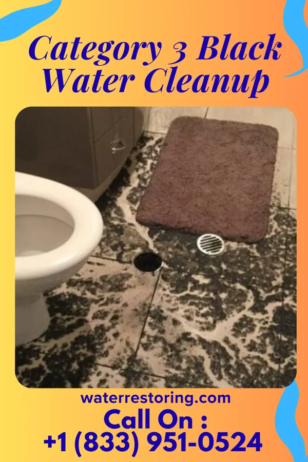 Category 3 Black Water Cleanup in Cave-In-Rock, IL
