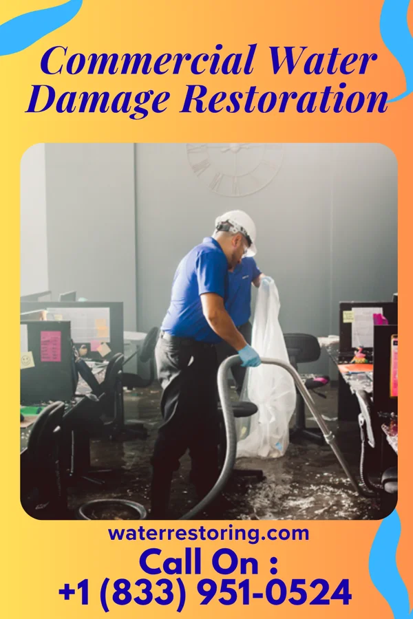 Commercial Water Damage Restoration in Cave-In-Rock, IL