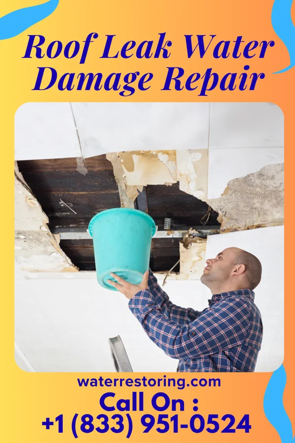 Roof Leak Water Damage Repair in Cave-In-Rock, IL